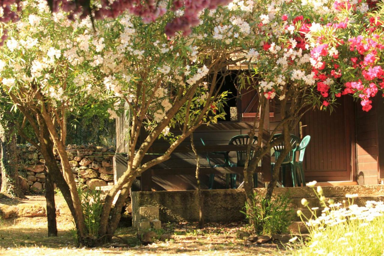 Résidence Marina Livia Serriera  Exterior foto
